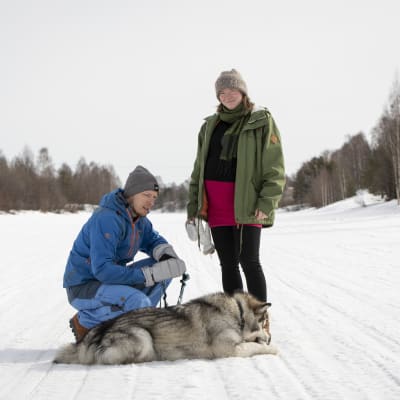 Maria Karnola, Henri Ljungkvist ja Nalle-koira joen jäällä Rovaniemellä