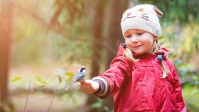 Pieni tyttö on metsässä ja pitää kädellään lintua.