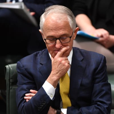 Australiska medier tror att premiärminister Malcolm Turnbull avgår frivilligt om han utmanas i en ny omröstning om det Liberala partiets och regeringens ledarskap 