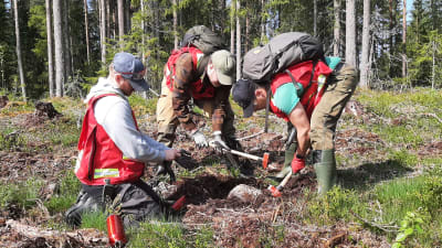 Tre män i skog.