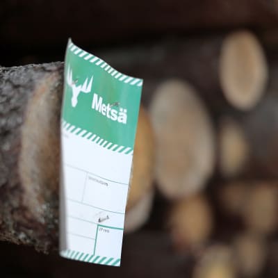 En lapp med Metsä Groups logo på en hög med trä.