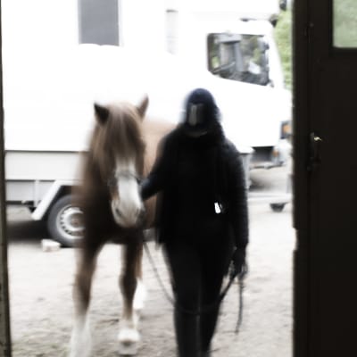 En person leder in en häst genom en dörr.