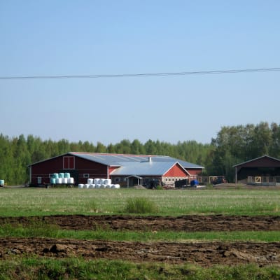 Jordbruk i Bennäs.