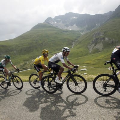 Egan Bernal och Julian Alaphilippe i farten.