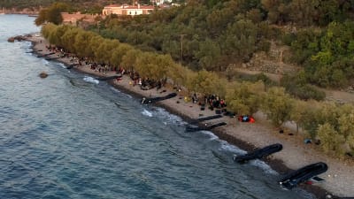 Gummibåtar på Lesbos stränder efter att 13 flyktingbåtar plötsligt kom över sundet från Turkiet.
