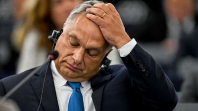 Ungerns premiärminister Viktor Orban reagerar.  Han har fört sin vänsterhand till pannan och blundar. 