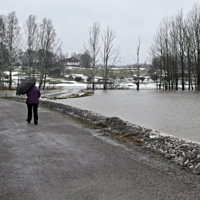 Tulva Espoon Kirkkojärvellä 15. tammikuuta 2023.