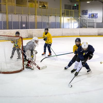 Juniorit pelaavat jääkiekkoa harjoituksissa.