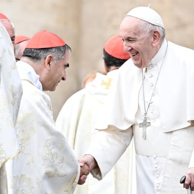 Påve Franciskus skakar hand med en kardinal. Några andra kardinaler syns i närheten. Påven ler brett.