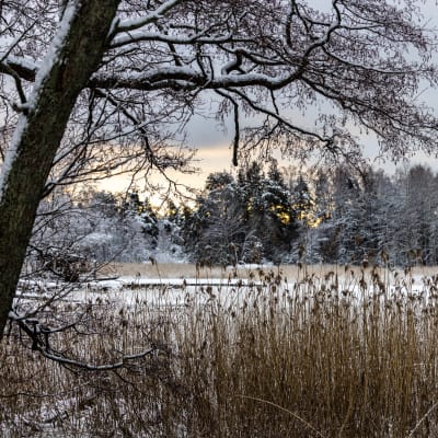 Luminen maisema.