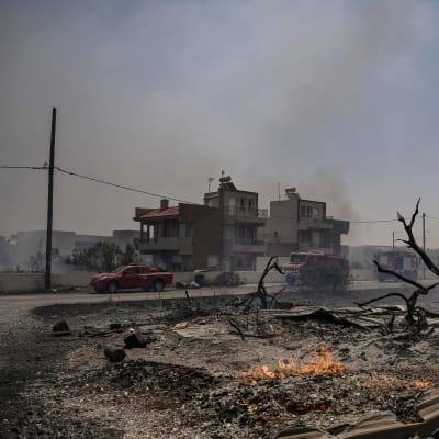 Förkolnade rester av träd och mark brinner i förgrunden, framför en byggnad står brandbilar och luften är mörk av rök.