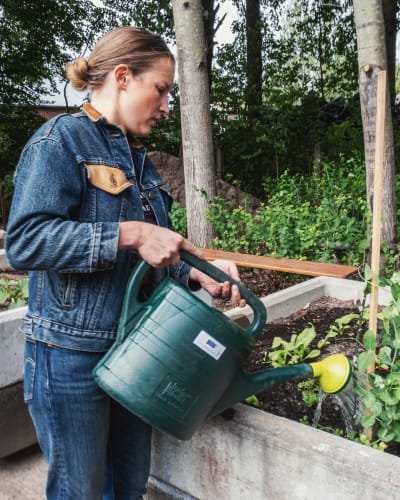Kvinna i jeans och jeansjacka vattnar växter i odlingslådor.