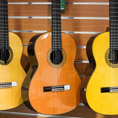 Akustiska gitarrer