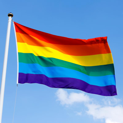 En flagga med regnbågsfärger vajar i vinden.
