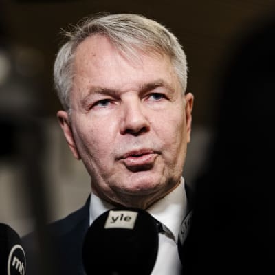 Ulkoministeri Pekka Haavisto (vihr.) oli ulkoasianvaliokunnan kokouksessa kuultavana asiantuntijana maaliskuussa.