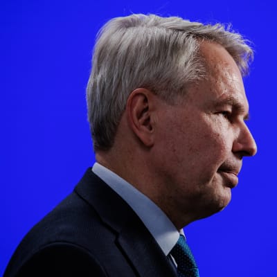 Pekka Haavisto fotograferad i profil mot en klarblå bakgrund.