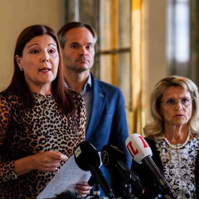 Sari Sarkomaa (kok.), Kai Mykkänen (kok.), Päivi Räsänen (kd.), Ville Tavio (ps.) ja Arja Juvonen (ps.) jättivät välikysymyksen eduskunnassa syyskuussa.