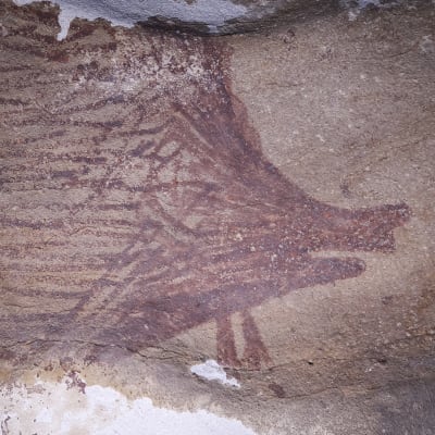 Indonesiasta löytyi mahdollisesti 45 500 vuotta vanha kalliomaalaus siasta.
