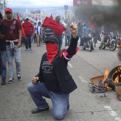 Demonstration i Tegucigalpa. Man står på knä framför brinnande bildäck.