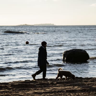 En kvinna rastar sin hund på en sandstrand. 
