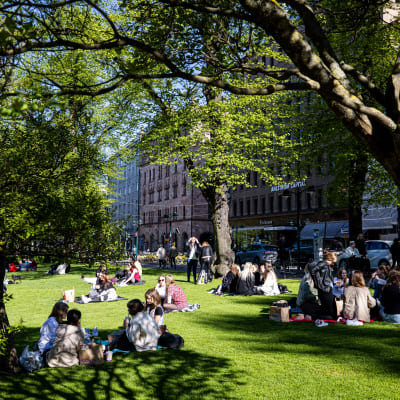 Människor sitter i en park i Helsingfors och njuter av solen.