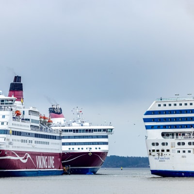 Viking Line och Silja Line fartyg i Helsingfors hamn.
