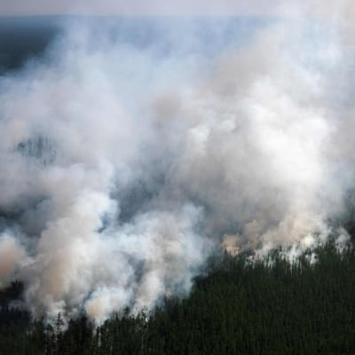 Bränder i Sibirien, Ryssland 27.7.2021