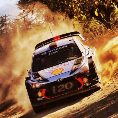 Thierry Neuville.