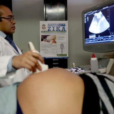gravid kvinna undersöks