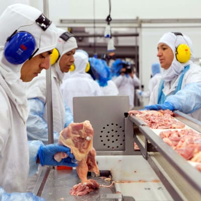 Köttindustri i Brasilien.