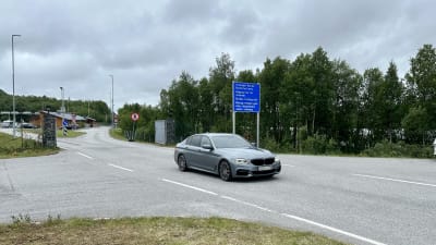 Storskog vid gränsen mellan Norge och Ryssland.