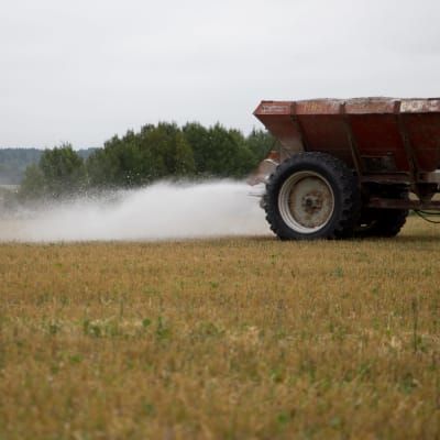 kipsikäsittely pelloille estää fosforin valumisen vesistöihin