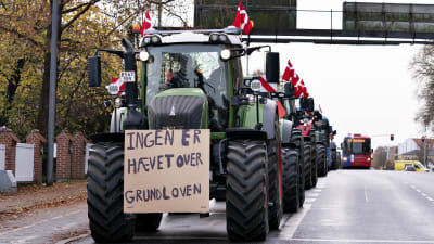 "Ingen är upphöjd över grundlagen" står det på det här plakatet under en demonstration i Ålborg i november i fjol. Bönderna ordnade många demonstrationståg med sina traktorer i protest mot minkbeslutet. 