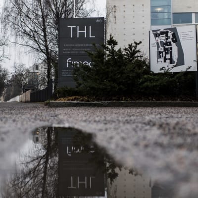 THL:s gråvita byggnad i Helsingfors. I förgrunden en vattenpöl.