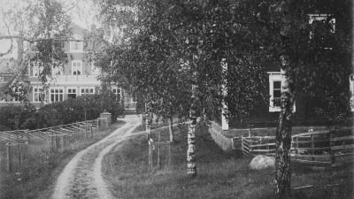 svartvitt fotografi av Stensböle herrgård. Stora björkar skymmer sikten.