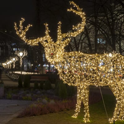 En ren gjord av ljusslingor i Esplanadparken i Helsingfors.