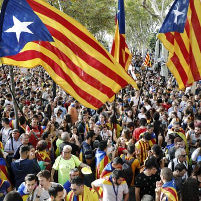 Demonstranter i Barcelona protesterar mot polisens handlingar för att förhindra Kataloniens folkomröstning.