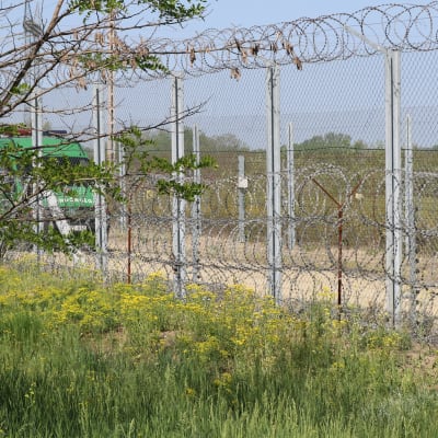 Ungerns gränsstängsel mot Serbien
