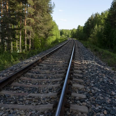 Rautatie kaartuu vasemmalle metsässä.
