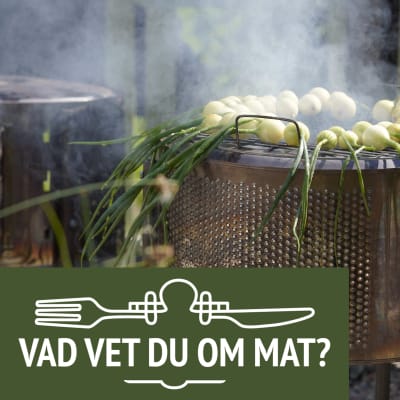 Grill med lökar på 