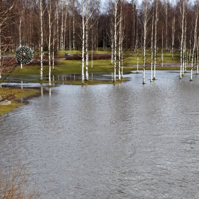 Porin Kirjurinluodossa tulvii.
