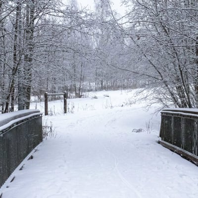 Kävelysilta Mustalahden yli Hietasaaressa suunnitellun huvipuiston alueella.