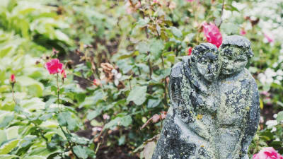 Trädgård med rosor, i förgrunden staty i betong föreställande gammalt par som stöder sig på varann.