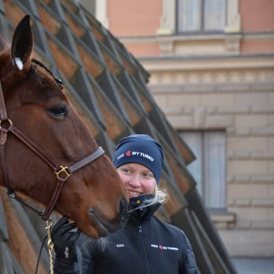 Hästen Kiss My Turku