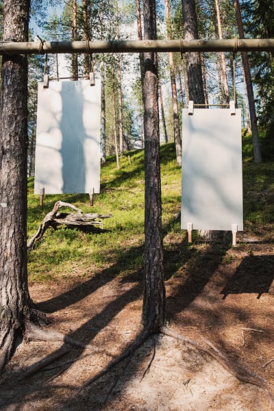 Kaksi peltiä joissa kädensijat roikkumassa mäntyihin kiinnitetystä poikkipuusta, nimeltään ukkospelti, Soivassa Metsässä Suomussalmella.