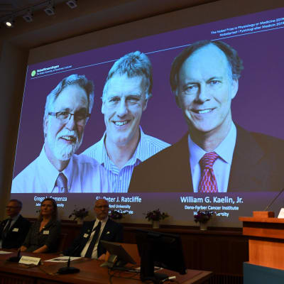 Nobelkommitténs sekreterare Thomas Perlmann med en bild på de tre prismottagarna.