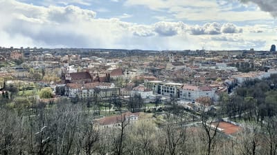 Vy över staden Vilnius äldsta kvarter från De tre korsens kulle i Kalnų-parken.