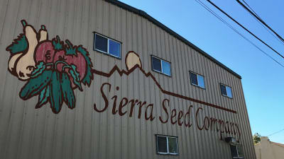Sierra Seed Company finns i utkanten av Nogales i Arizona