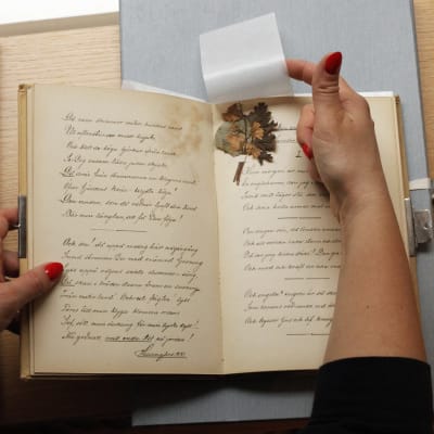Kädet pitelevät vanhaa, 1800-luvun lopun runokokoelma-kirjaa, jossa on vanha, kuivattu vihreä kasvi.