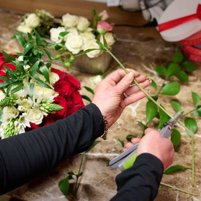 En florist klipper och fixar rosor.
